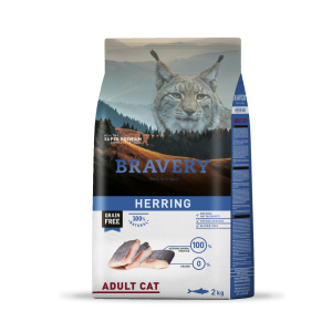 BRAVERY GATO HERRING