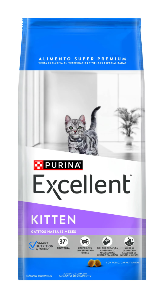 EXCELLENT KITTEN