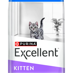 EXCELLENT KITTEN