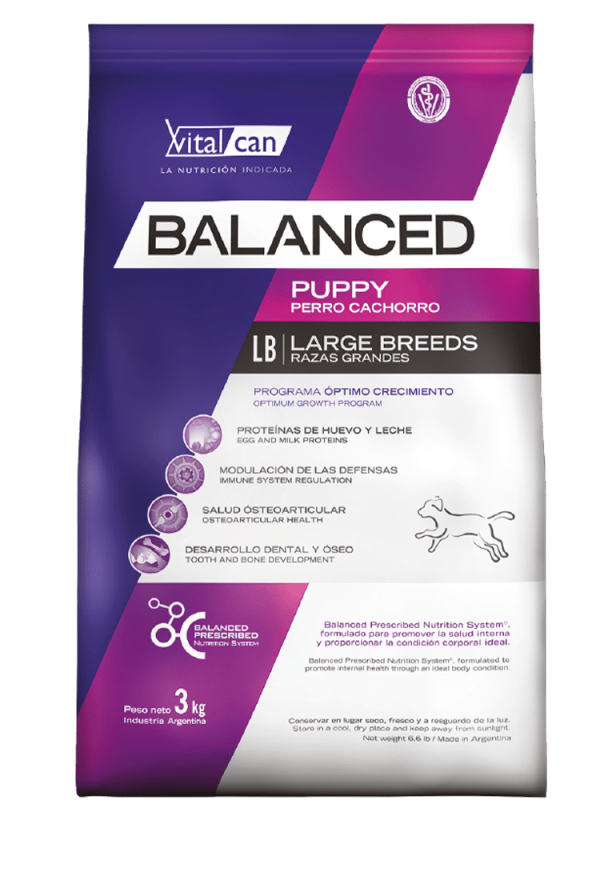 BALANCED PERRO CACHORRO RAZA GRANDE