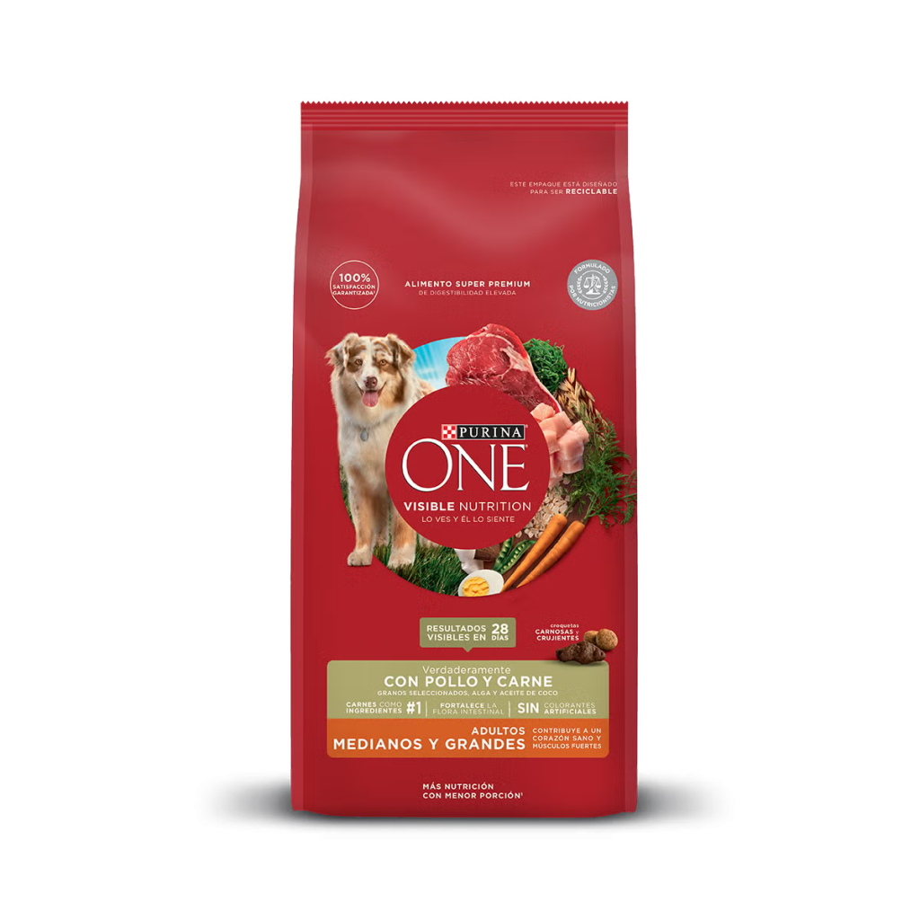 ONE PERRO ADULTO MEDIO GRANDE CARNE