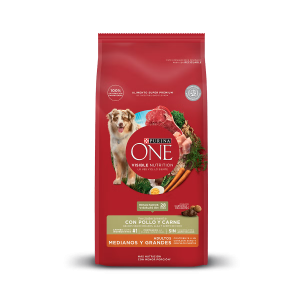 ONE PERRO ADULTO MEDIO GRANDE CARNE
