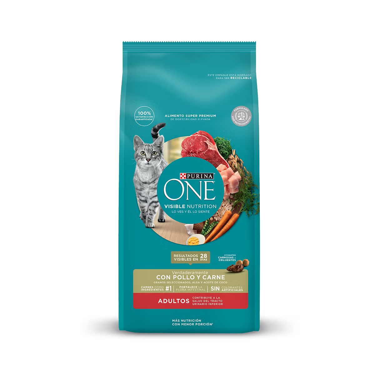 ONE GATO ADULTO CARNE