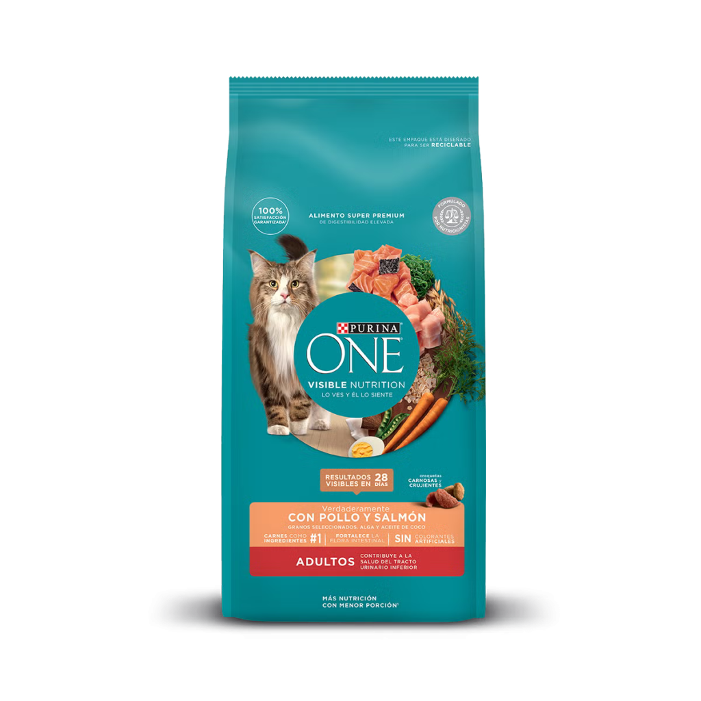 ONE GATO ADULTO SALMÓN