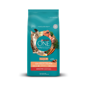 ONE GATO ADULTO SALMÓN