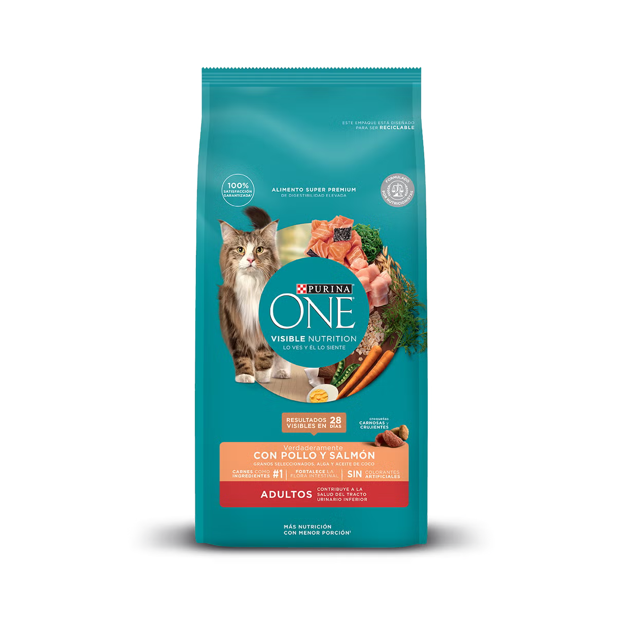 ONE GATO ADULTO SALMÓN