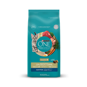 ONE KITTEN CARNE