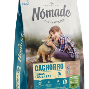 Nómade cachorro