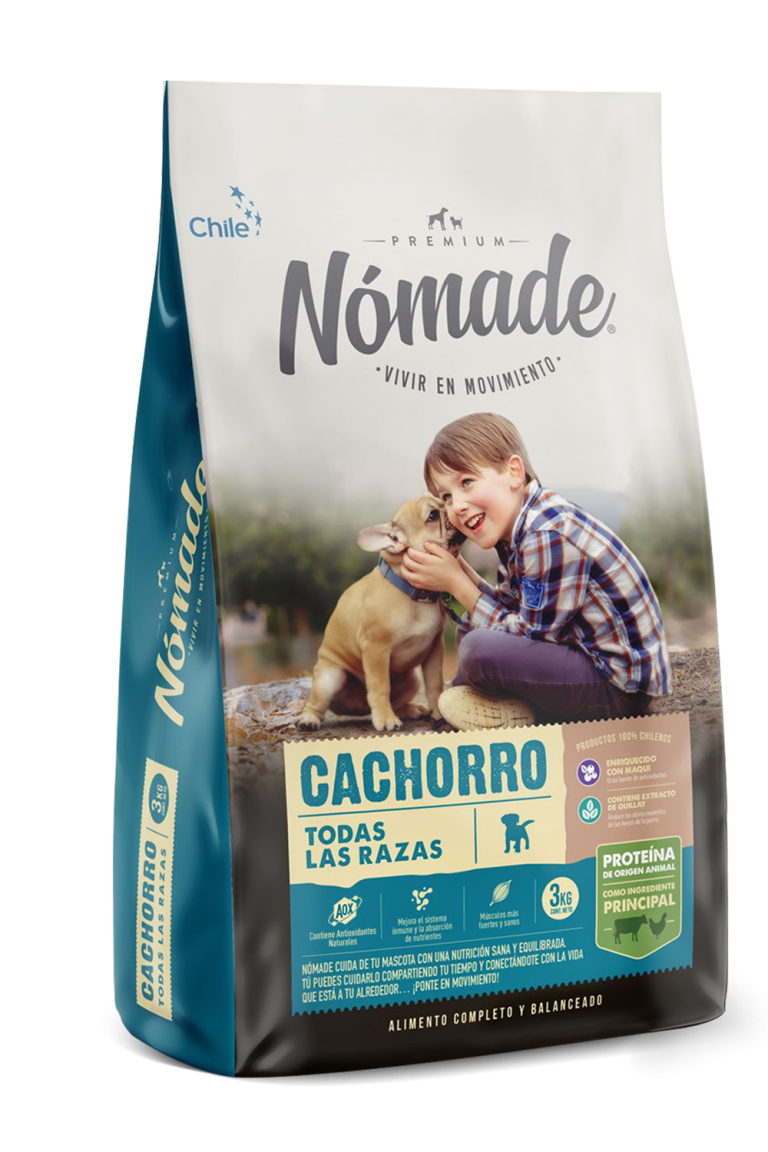 Nómade cachorro