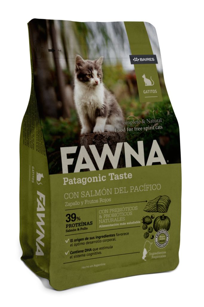 Fawna gato kitten